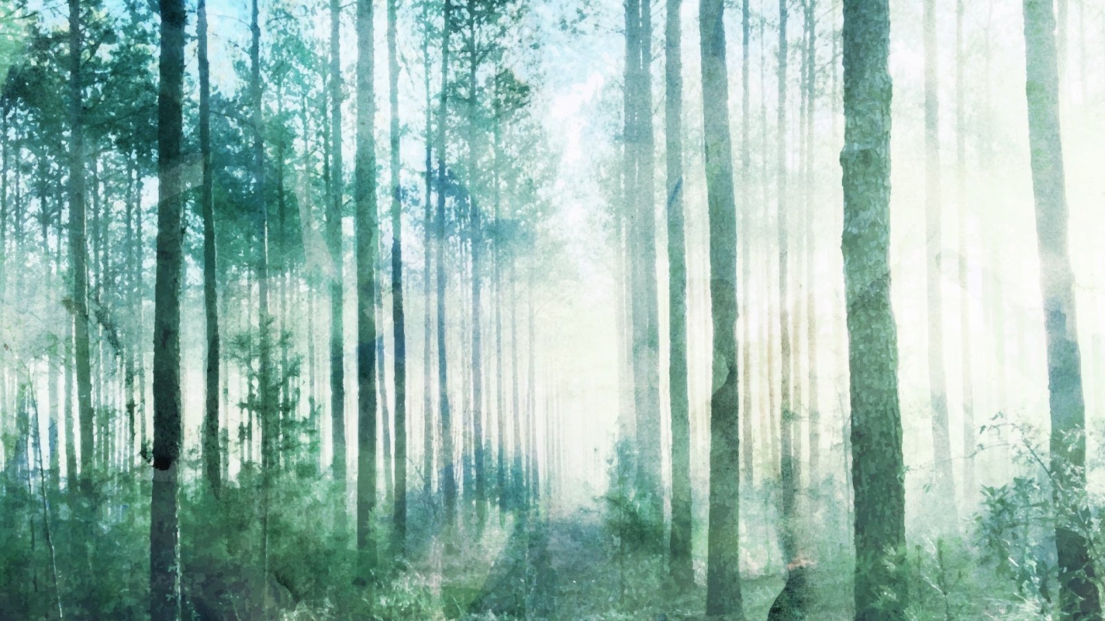 Misty Pines-Peel and Stick Wallpaper