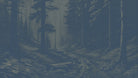 Peel and stick wallpaper collection showcasing forest landscapes and cozy vibes; perfect for vacation rentals. 